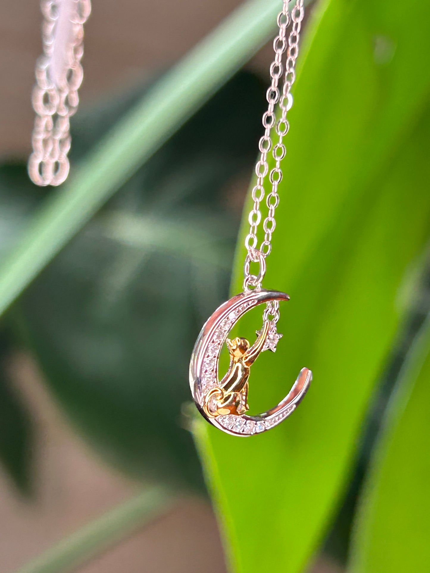 Conjunto gato dorado