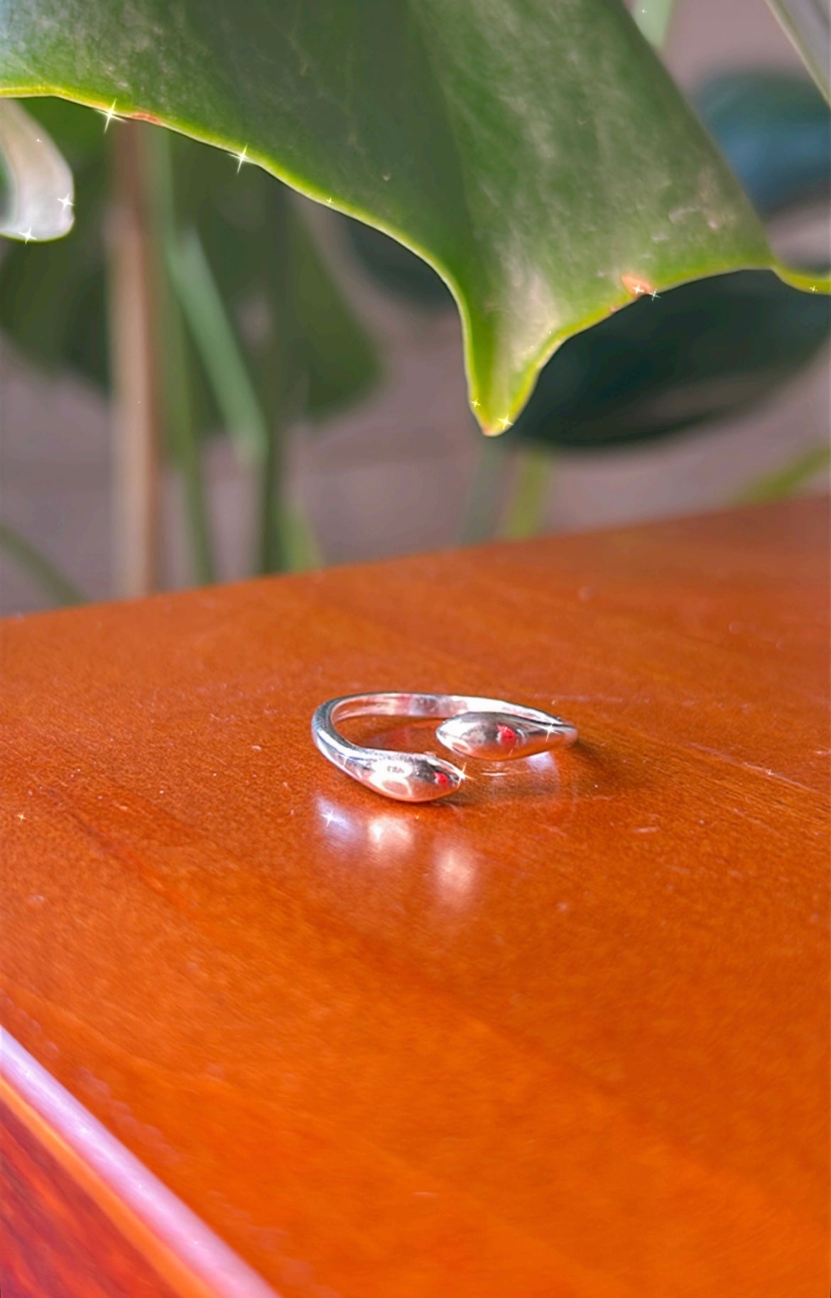 Anillo simple