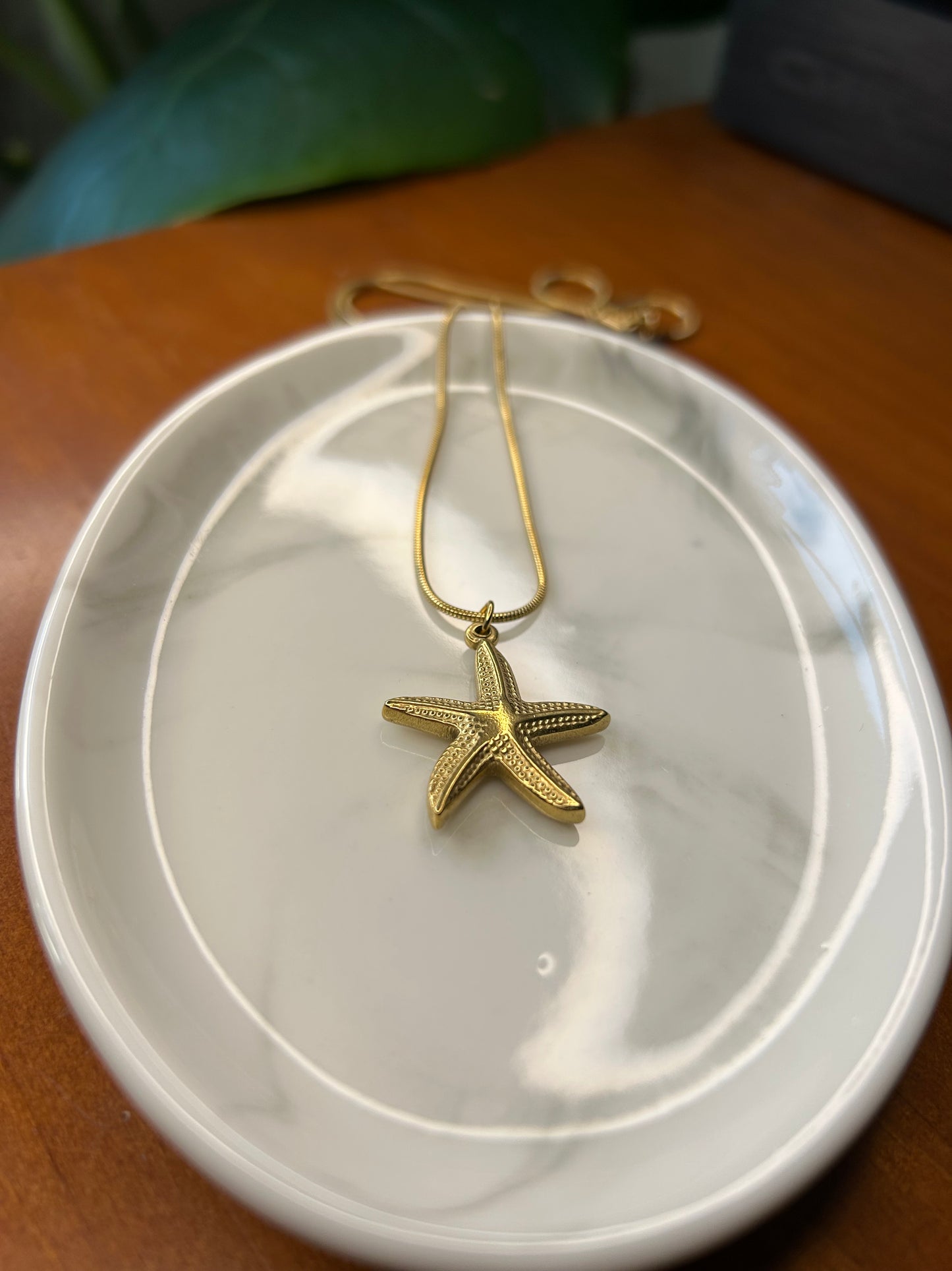 Conjunto estrella de mar