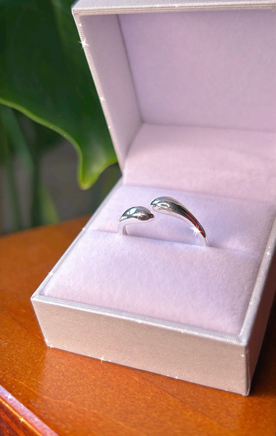Anillo simple