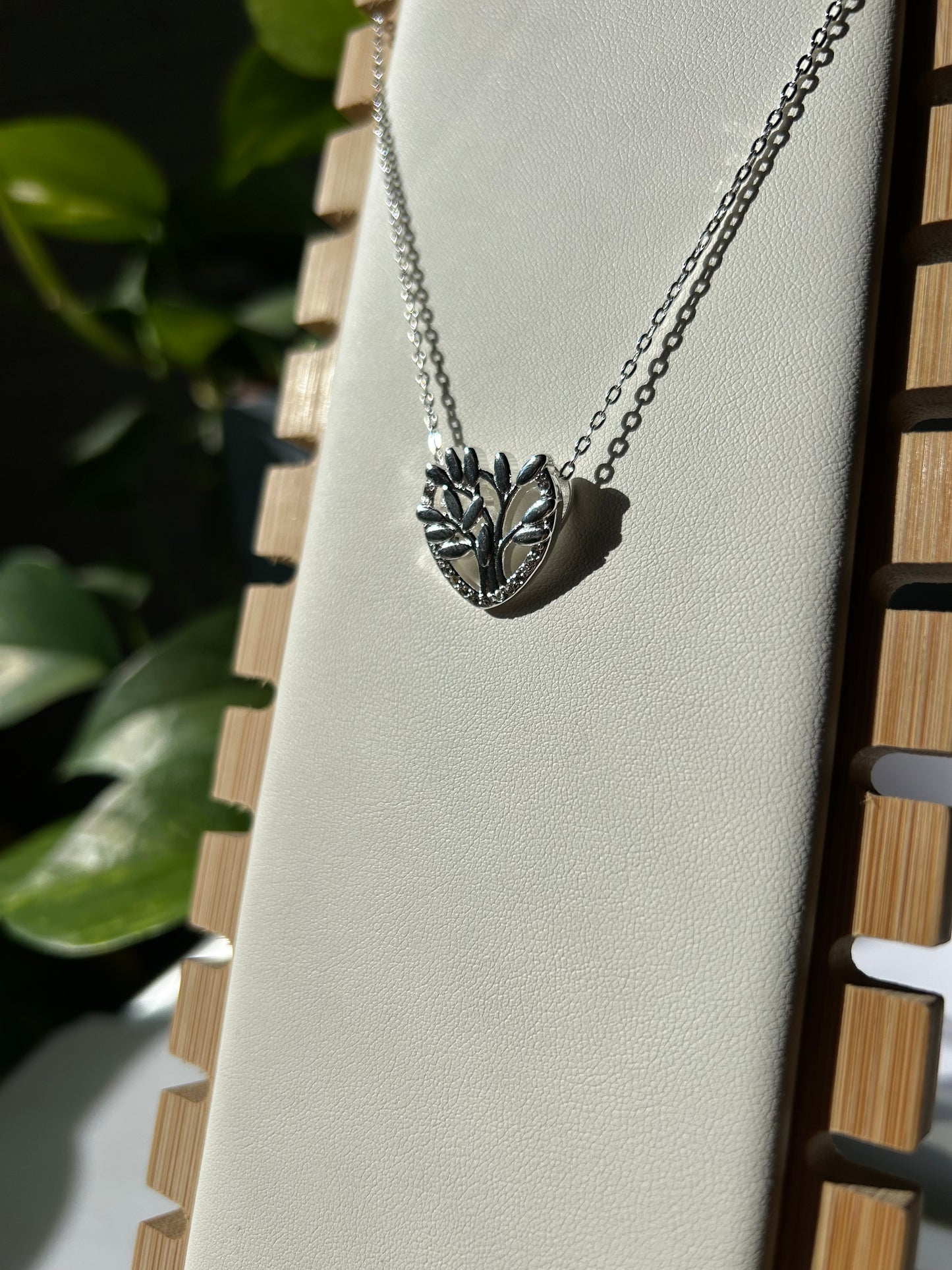 Conjunto árbol de la vida