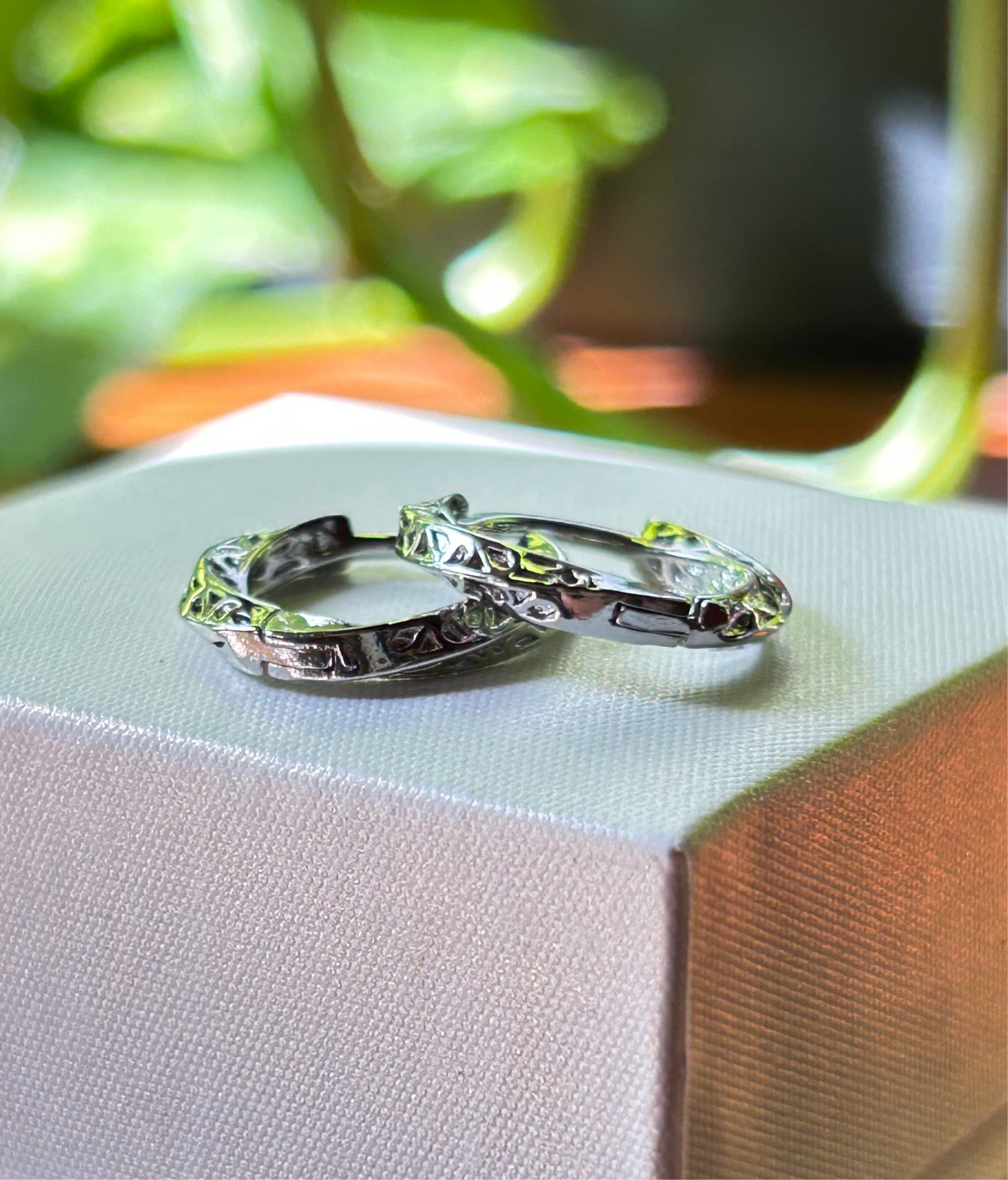 Caravanas Cierre Huggie