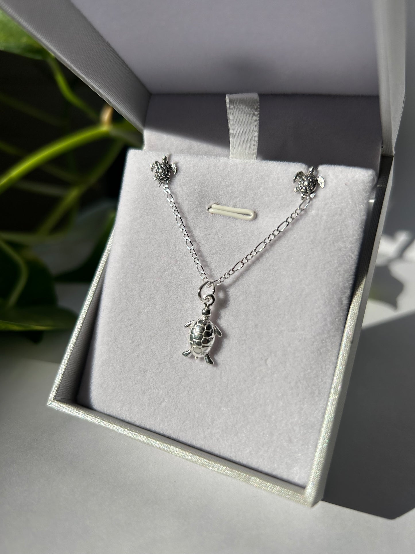 Conjunto tortuguitas plata