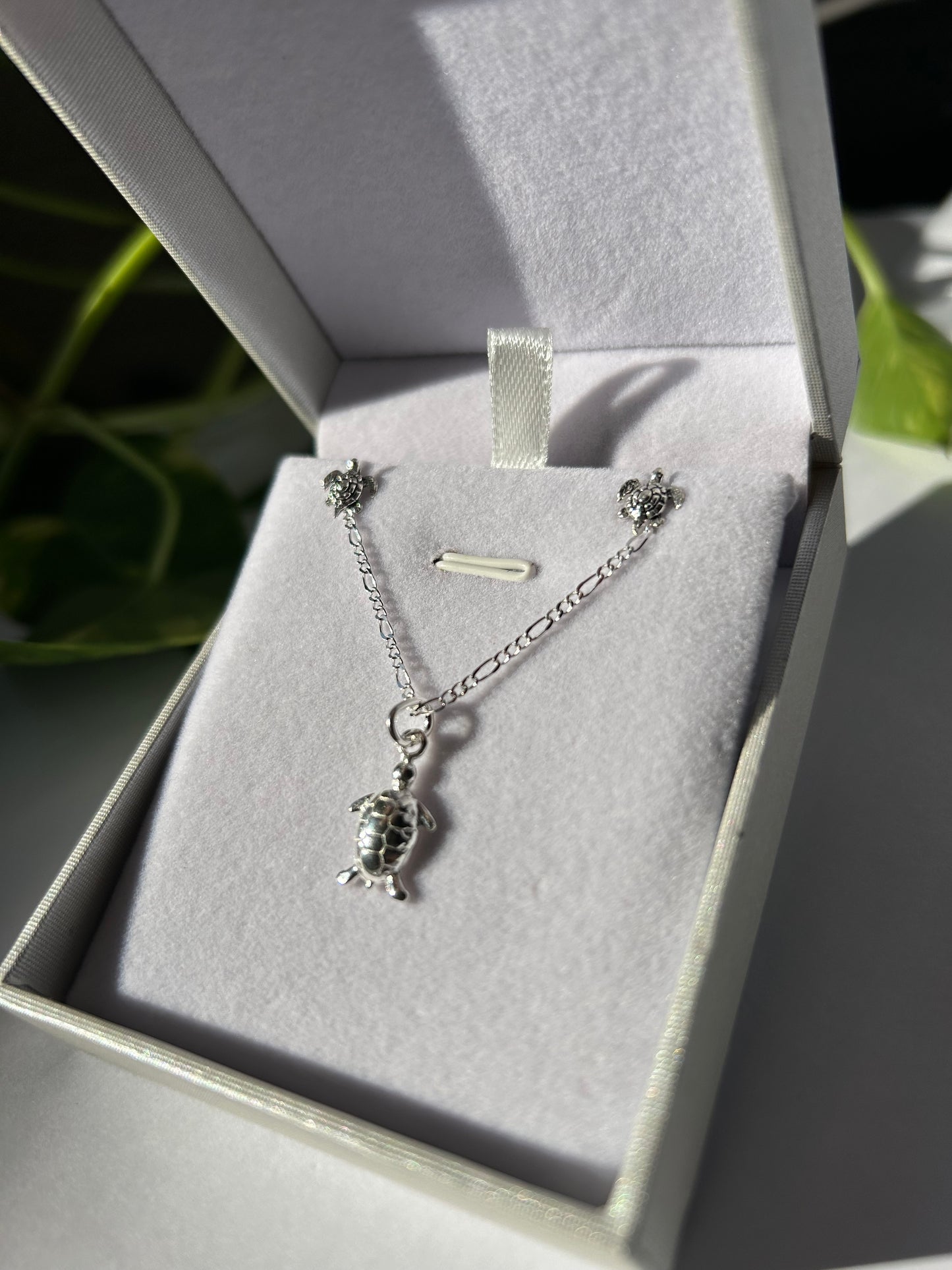 Conjunto tortuguitas plata