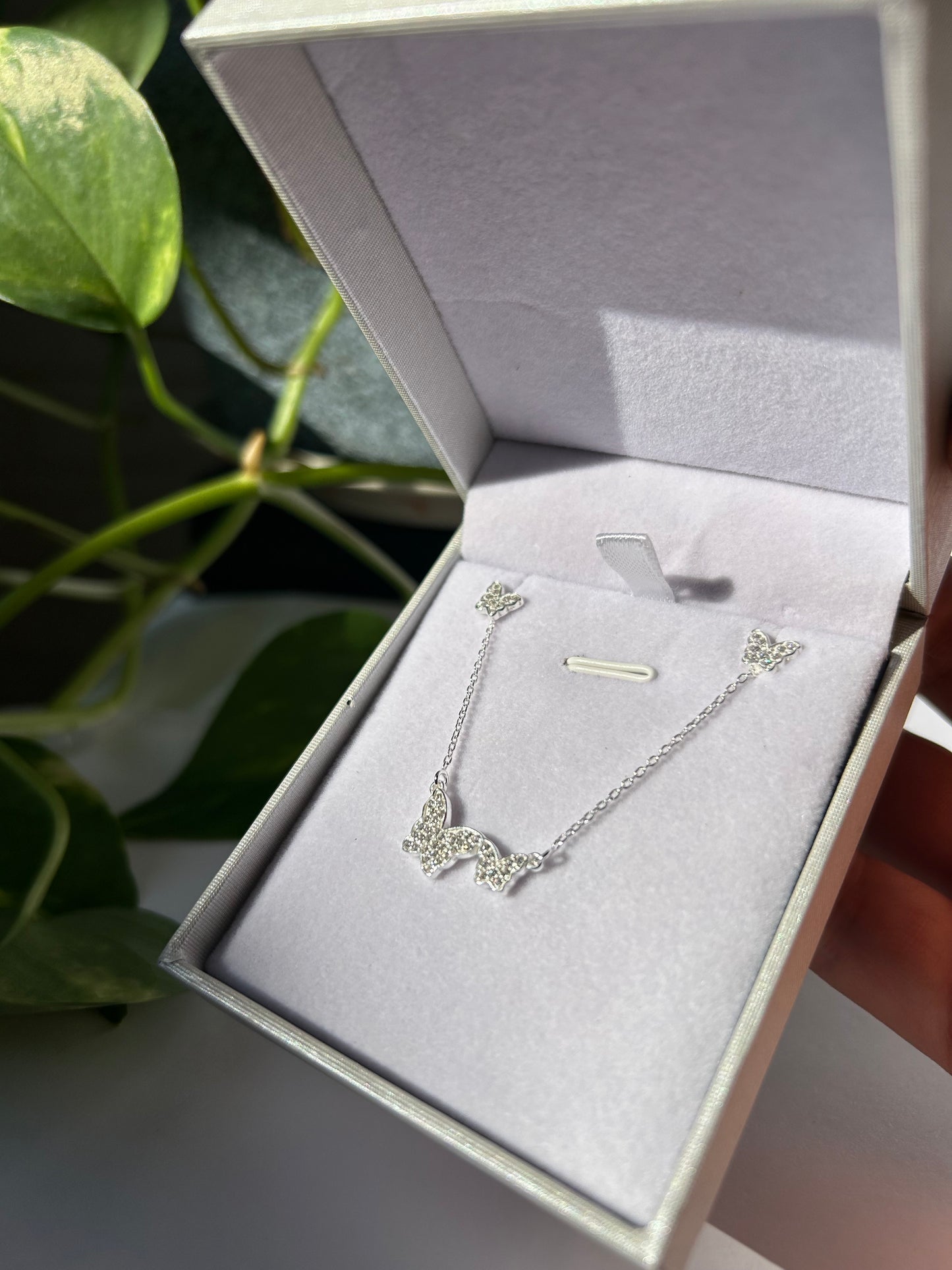 Conjunto mariposas Plata