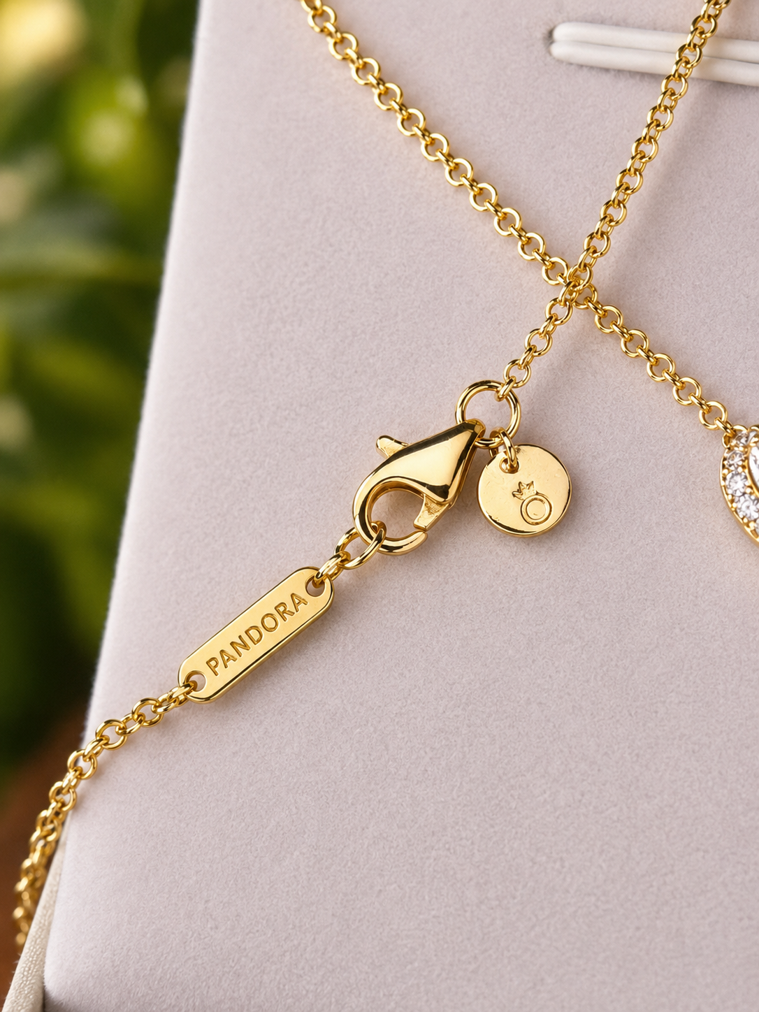 Conjunto Pandora Brillo Eterno