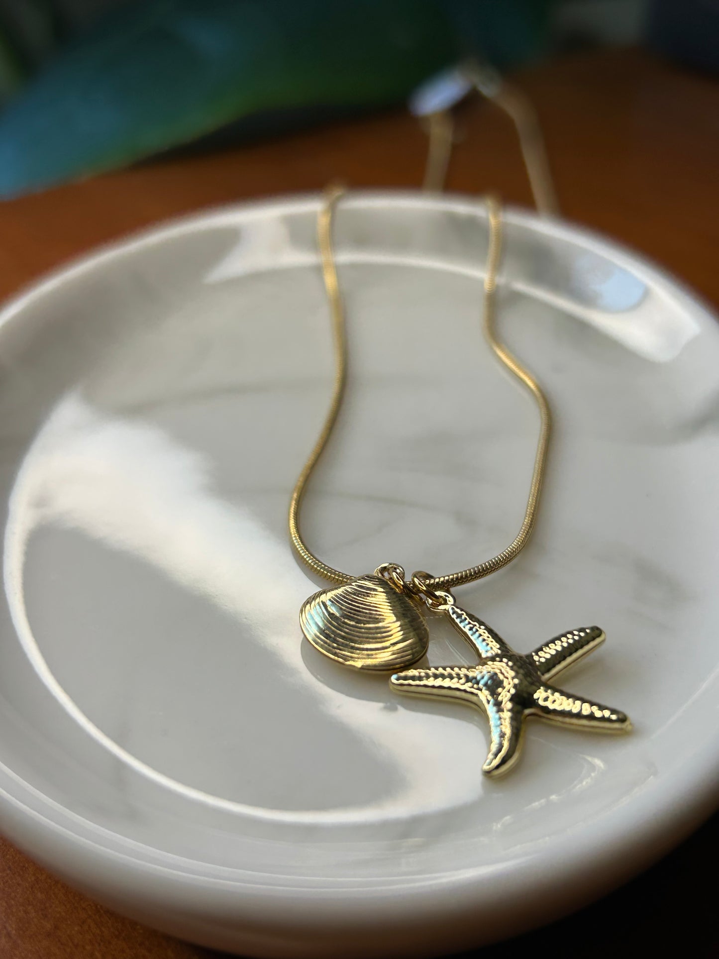 Conjunto estrella y caracola