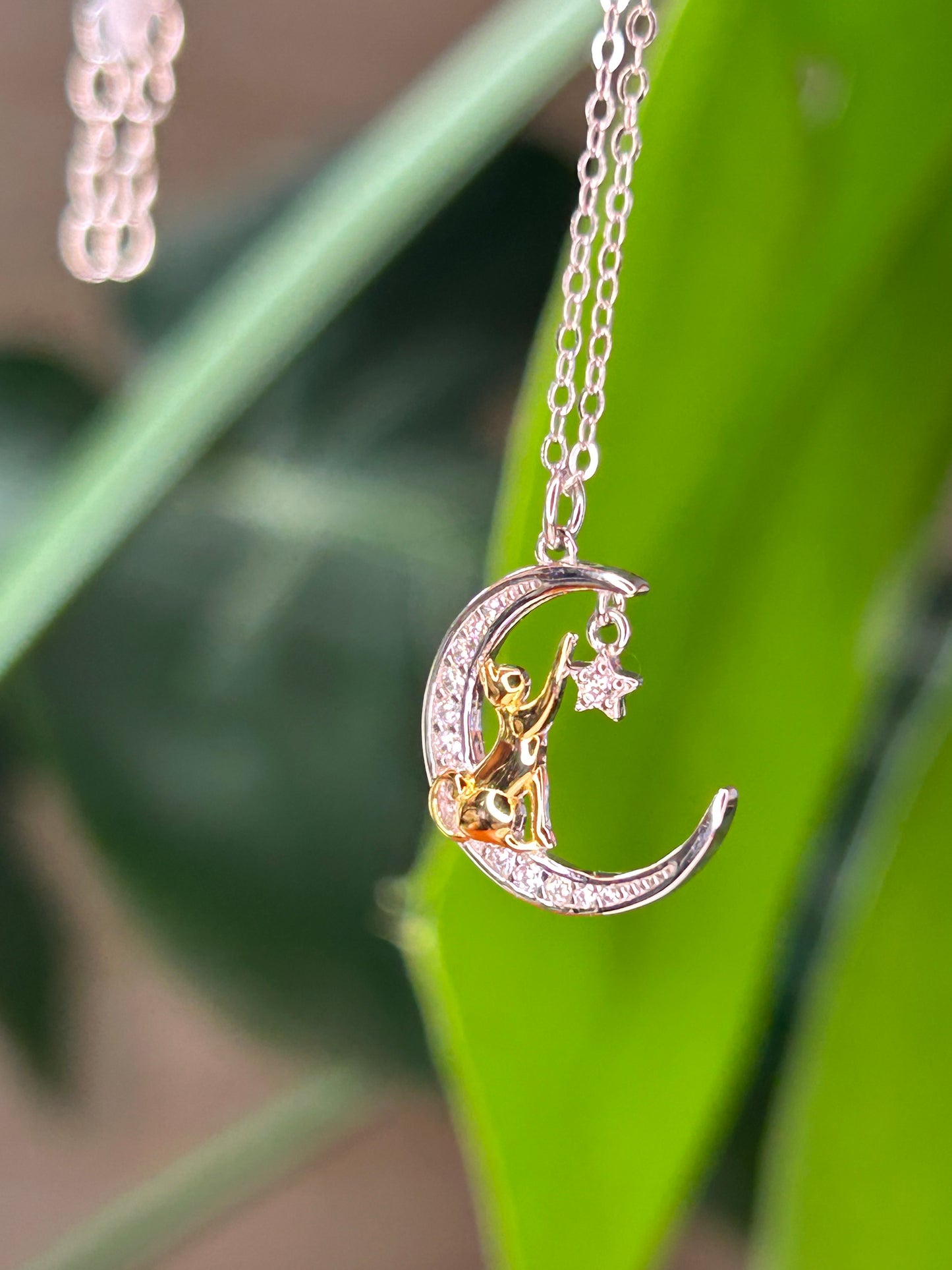 Conjunto gato dorado
