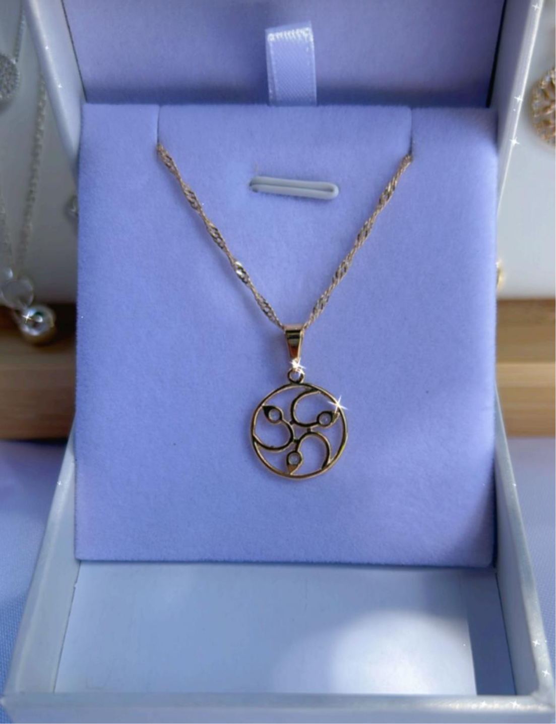 Conjunto círculo con circonias