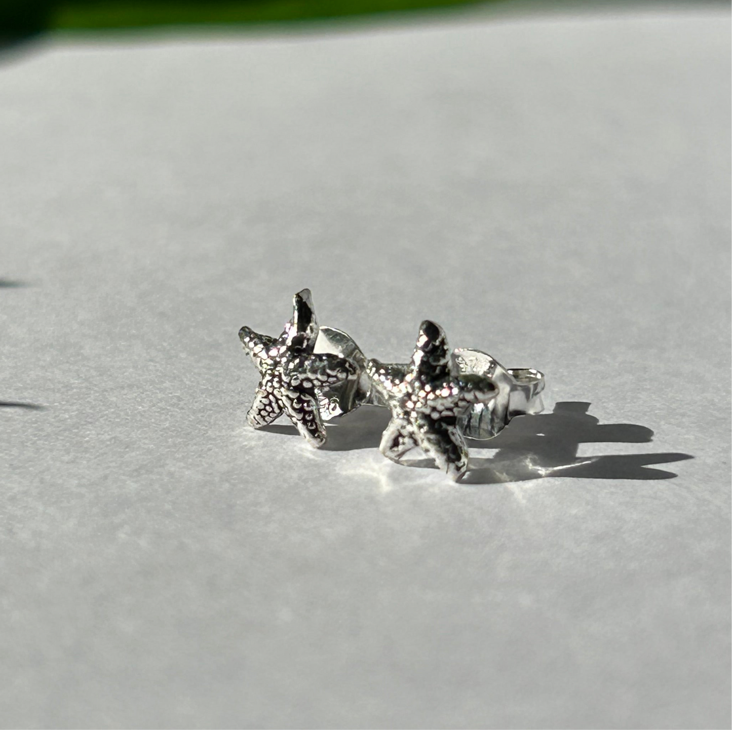 Caravanas estrellas de mar
