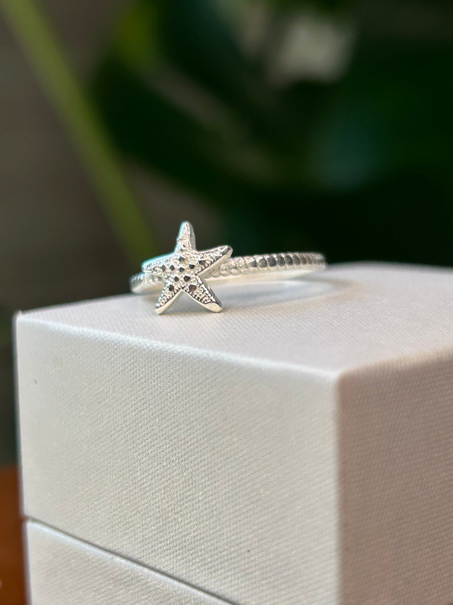 Anillo estrella de mar