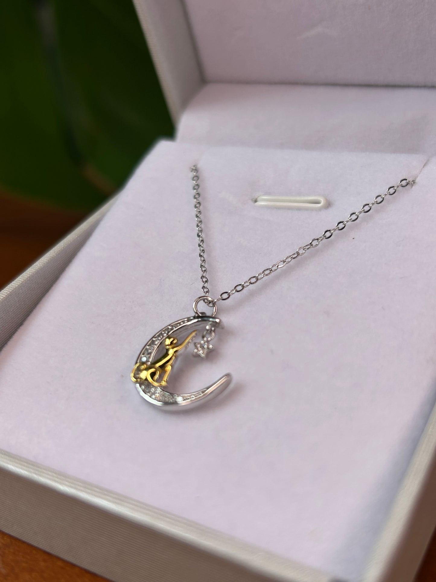 Conjunto gato dorado