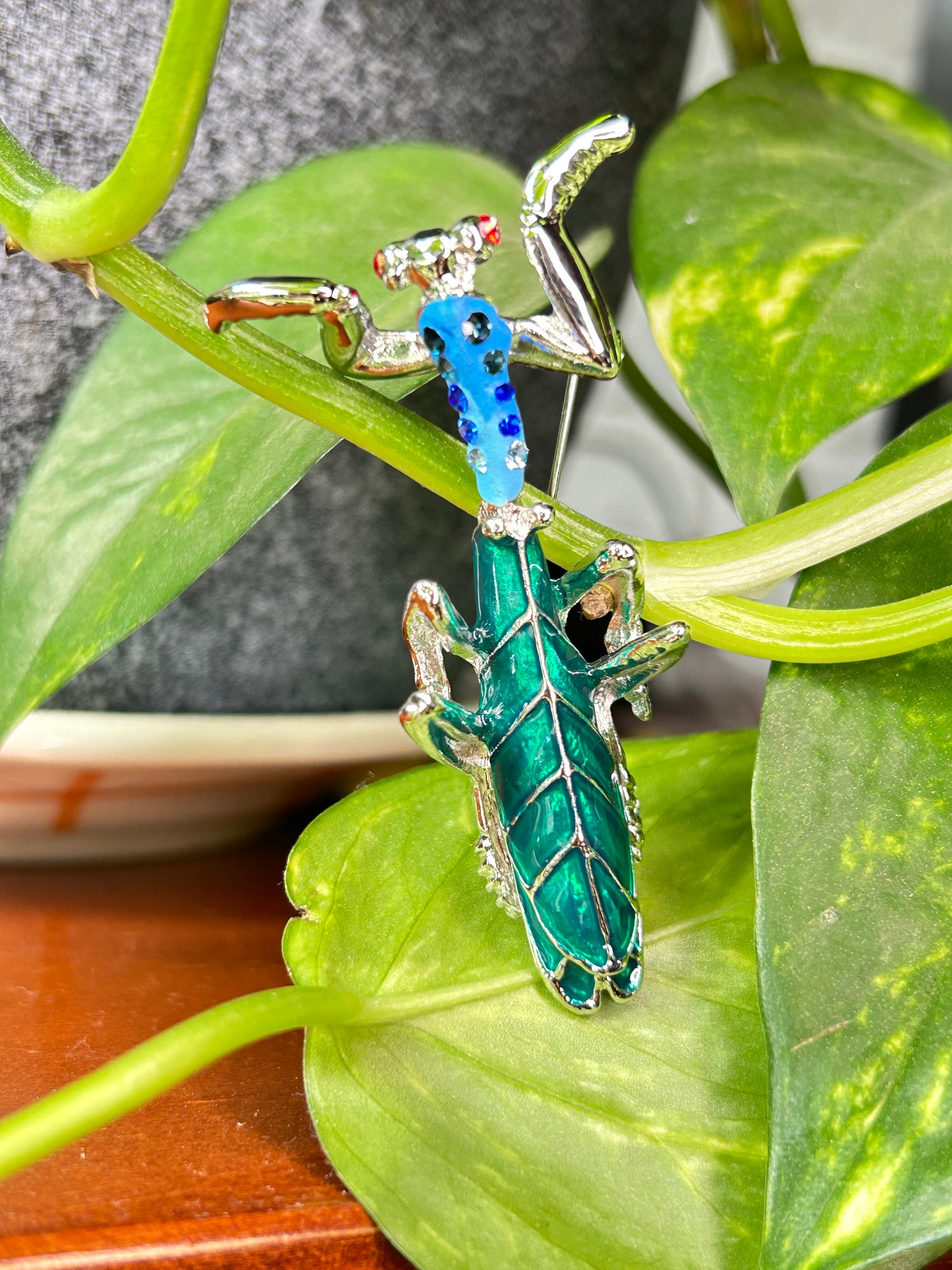 Prendedor mantis