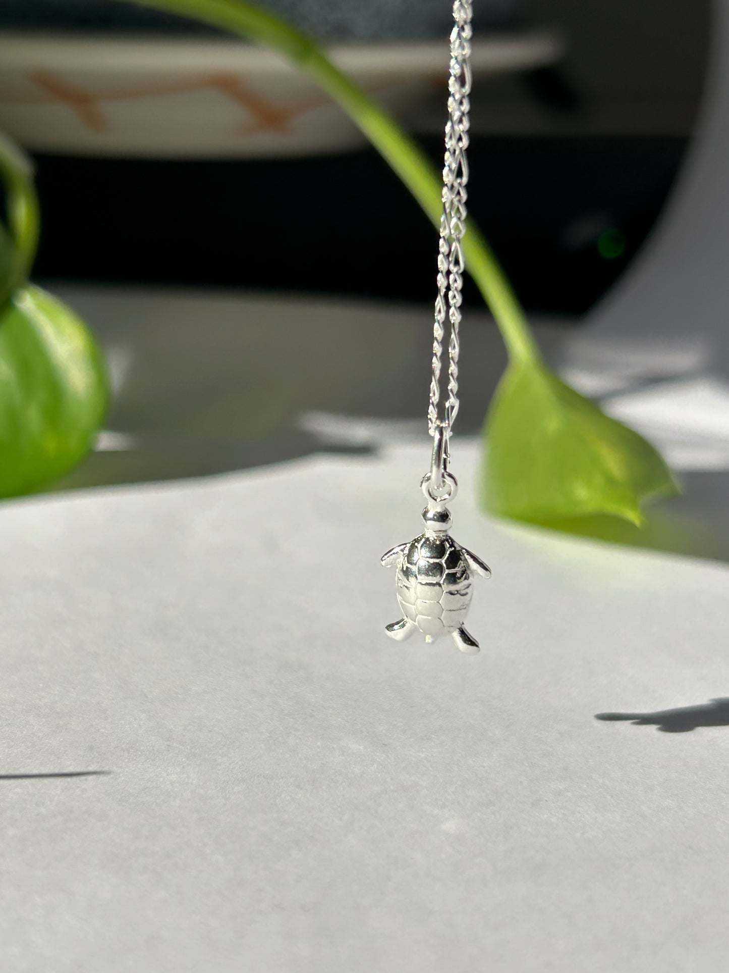 Conjunto tortuguitas plata