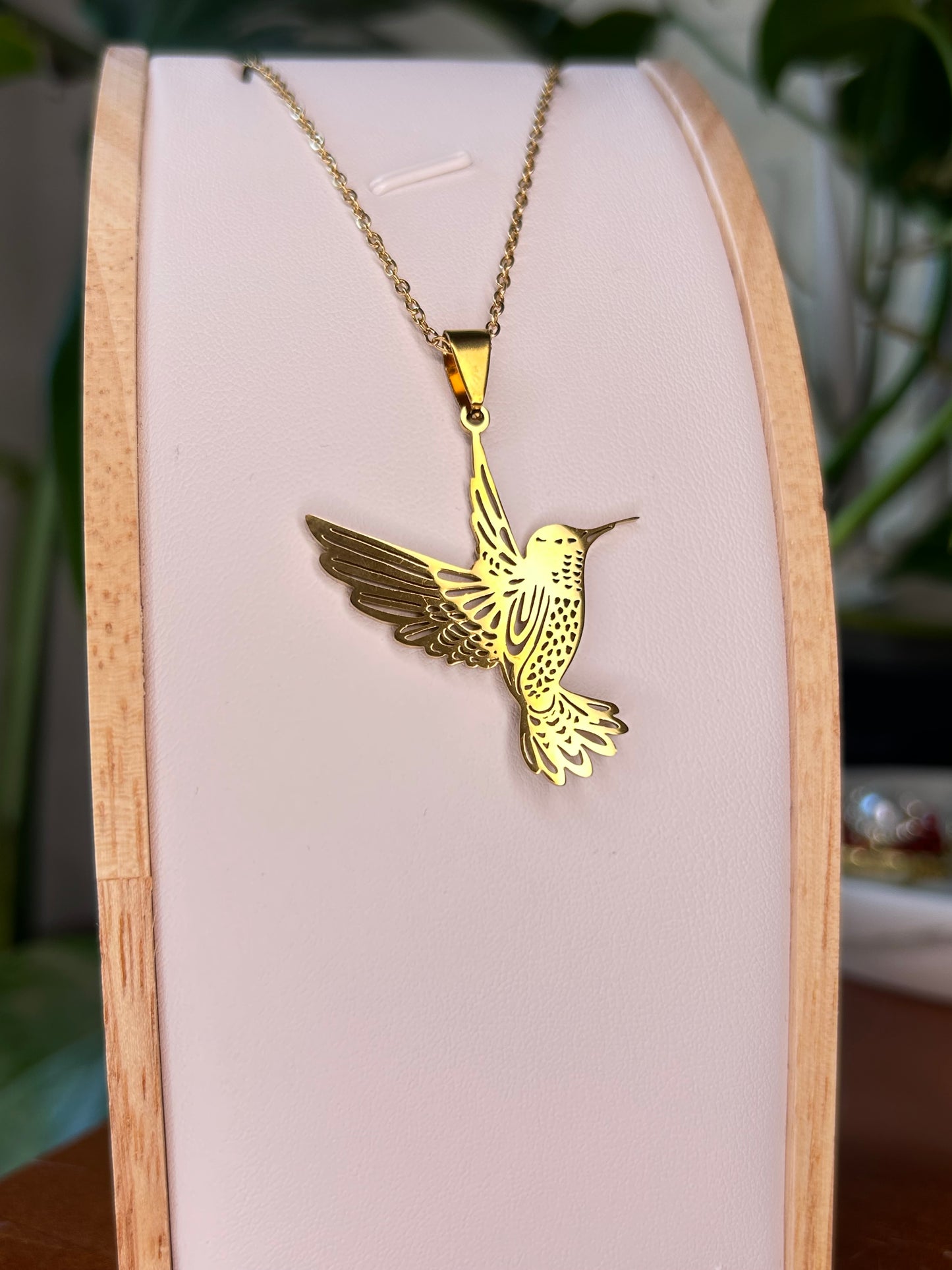 Conjunto Colibrí