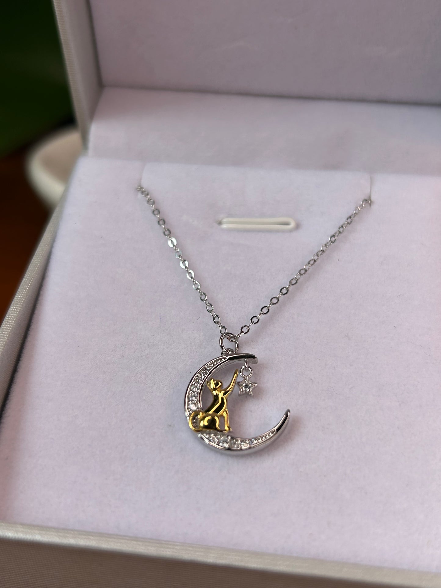Conjunto gato dorado