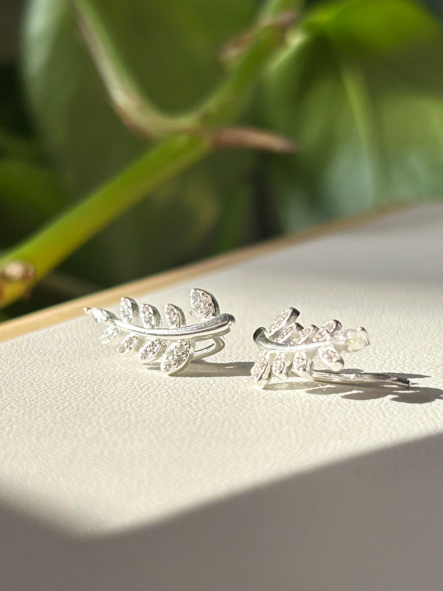 Caravanas trepadores olivo