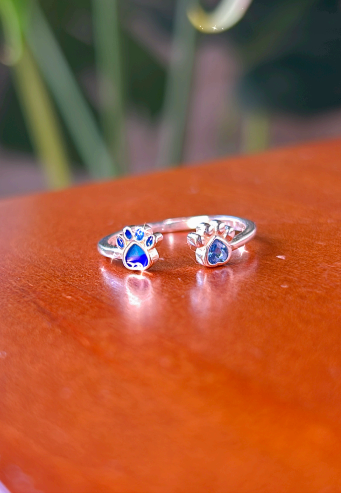 Anillo doble huellita