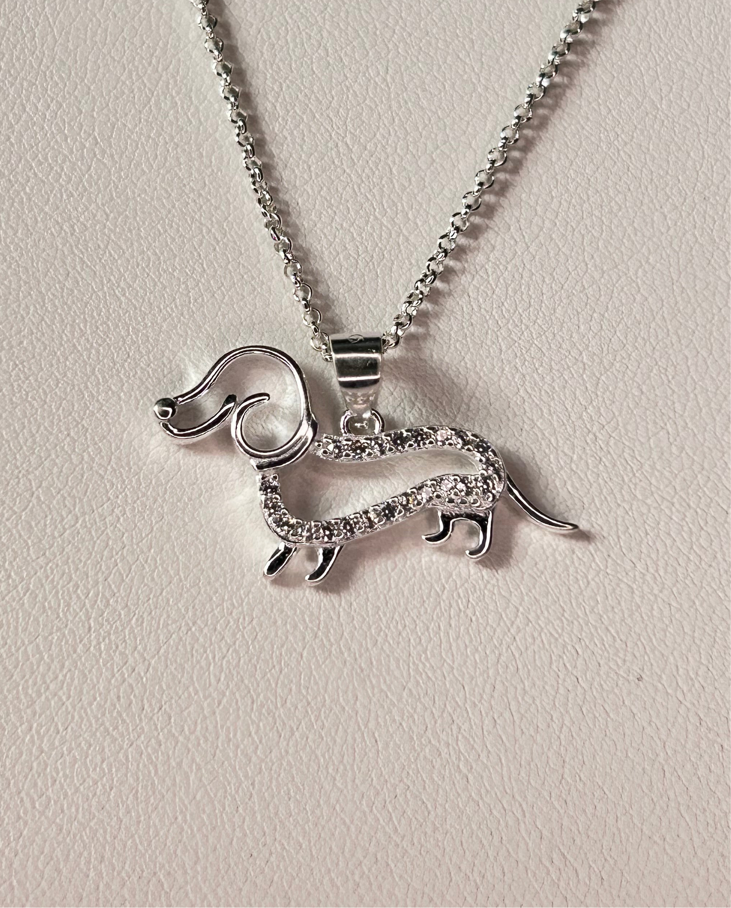 Conjunto perro salchicha