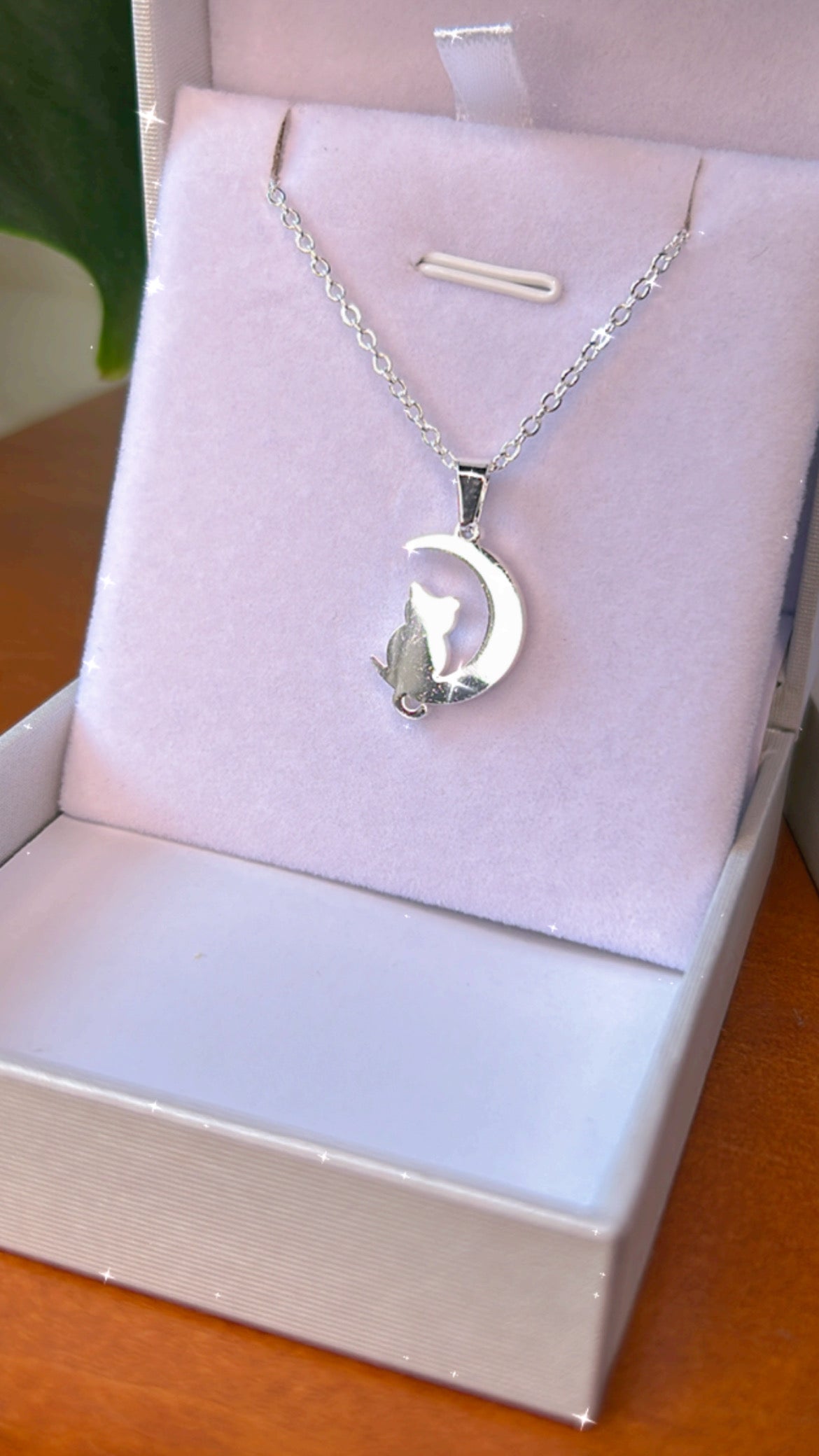 Conjunto gato y luna