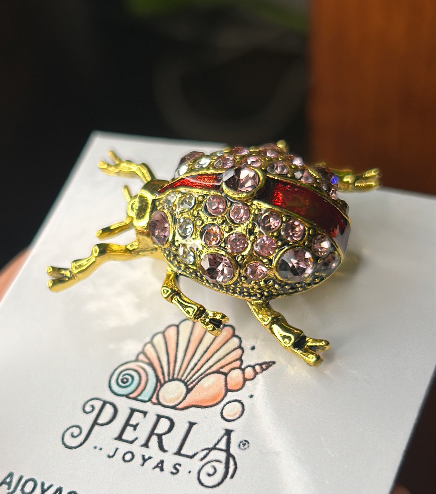 Prendedor escarabajo línea roja