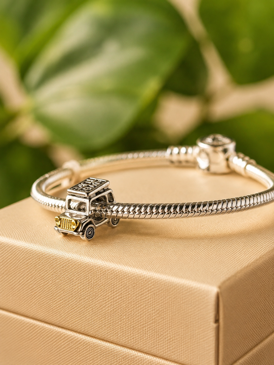 Charm Pandora Love Tour