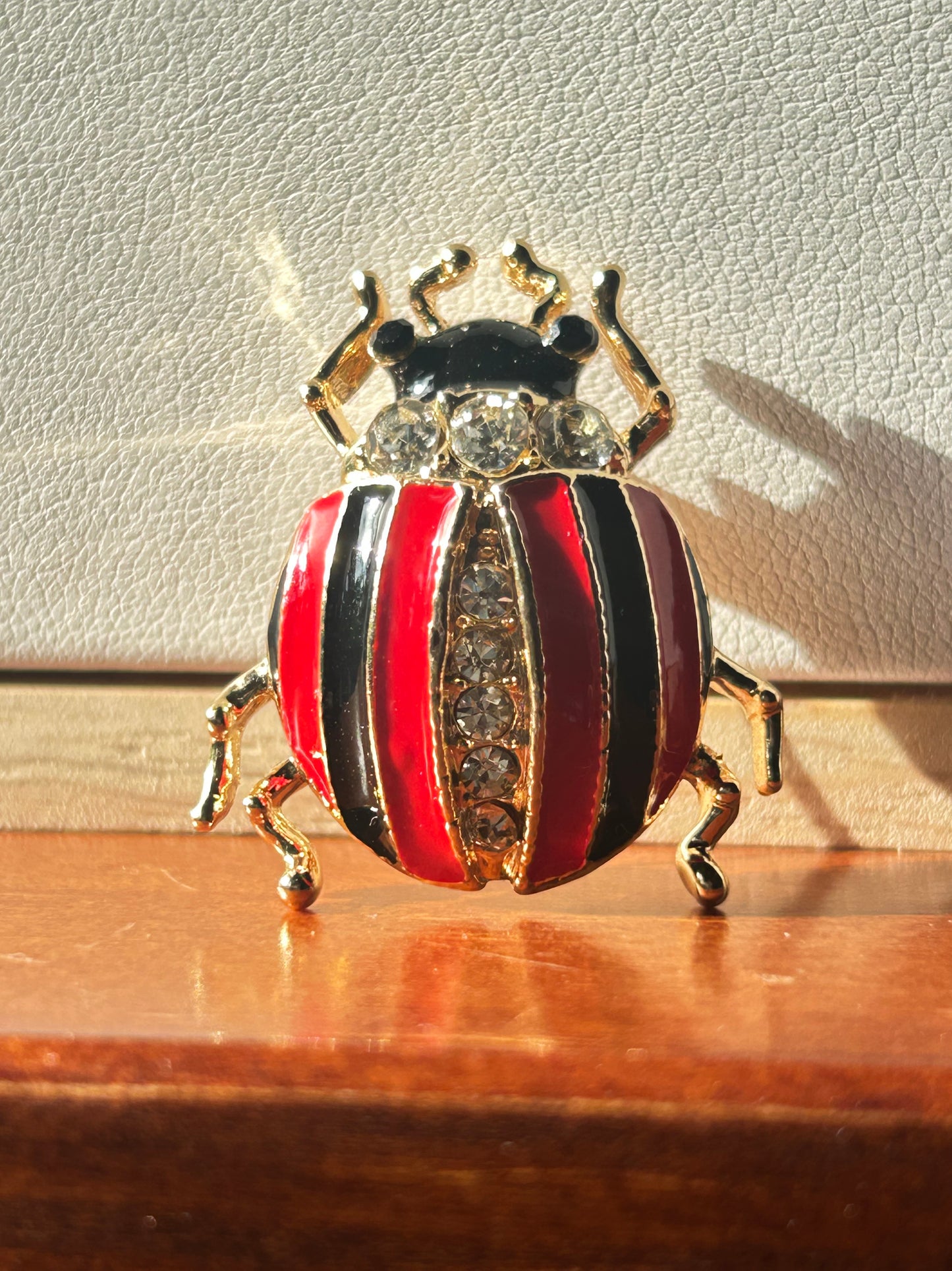 Prendedor mariquita rayas