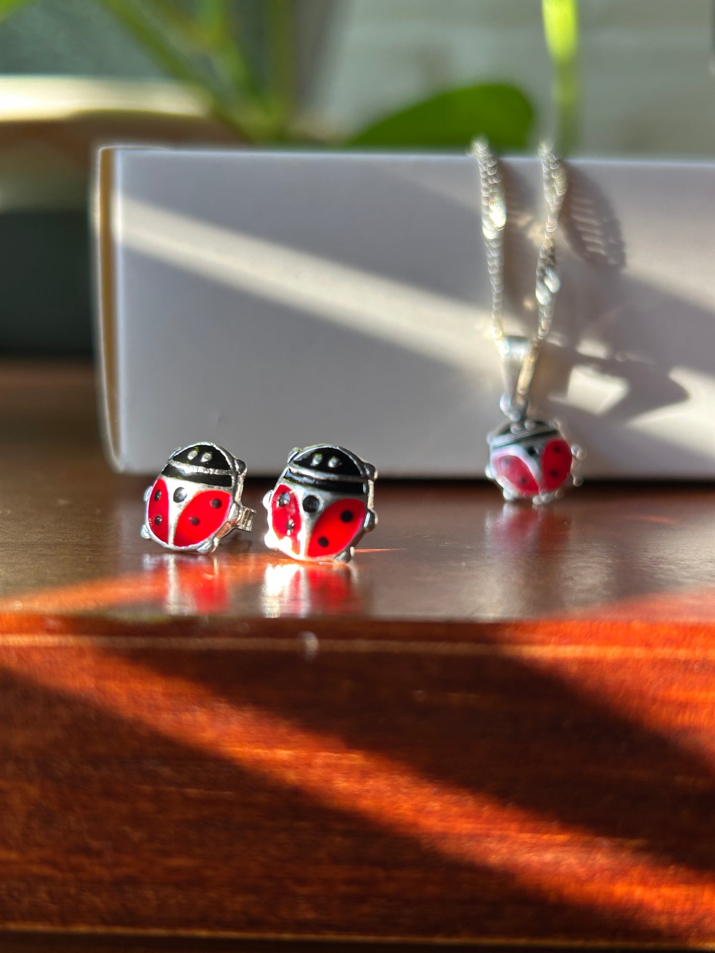 Conjunto san Antonio