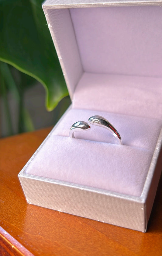 Anillo simple