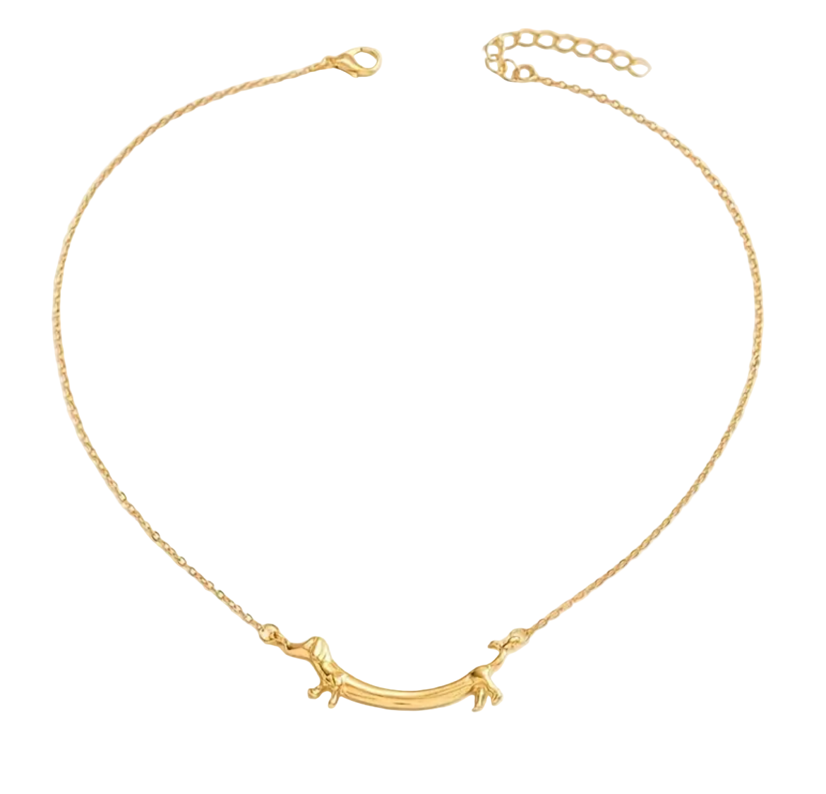 Collar perro salchicha