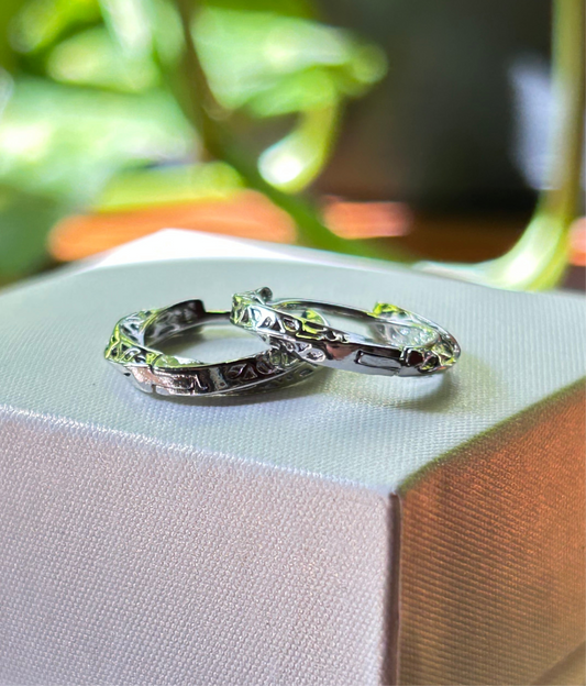 Caravanas Cierre Huggie