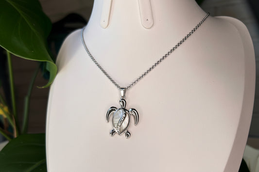 Conjunto Tortuguita