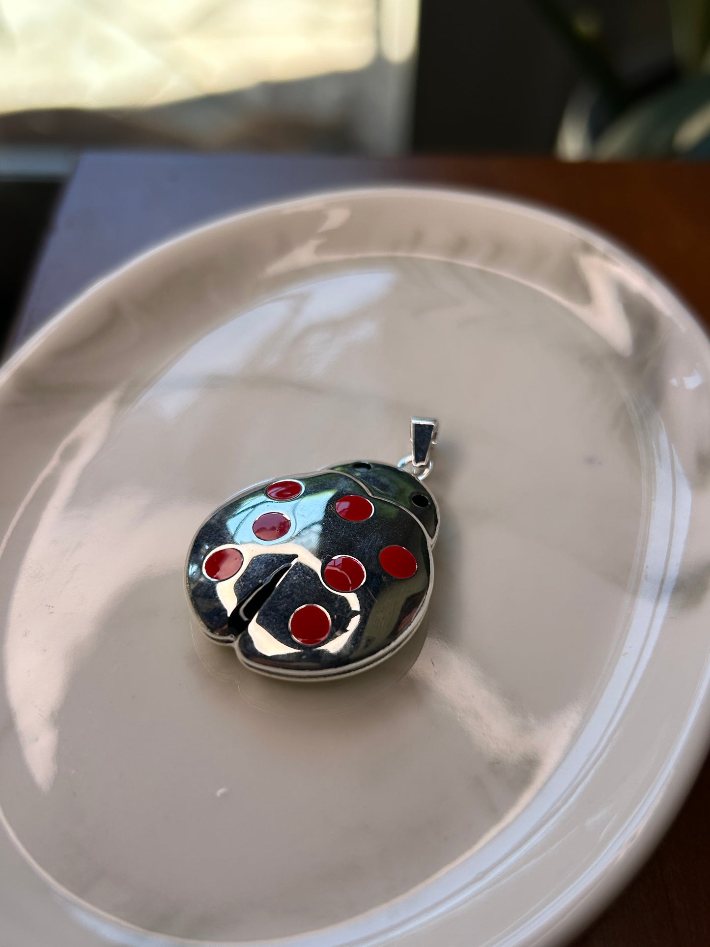 Dije grande mariquita relicario