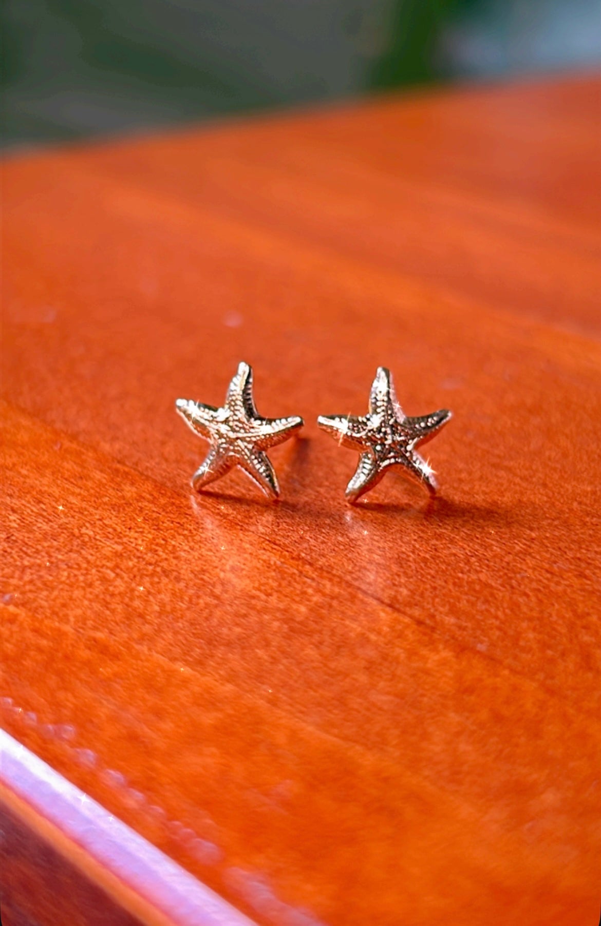 Mini caravanas estrellas
