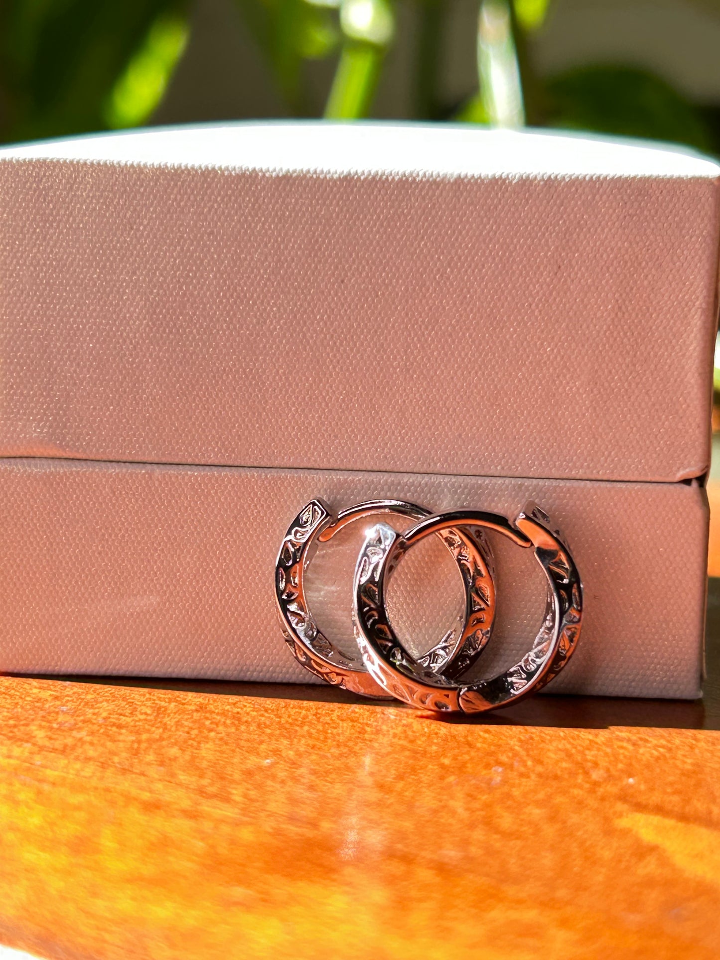 Caravanas Cierre Huggie