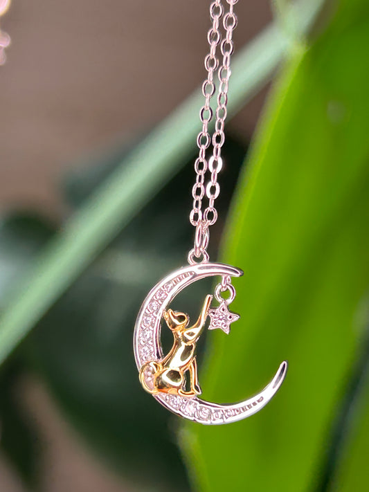 Conjunto gato dorado