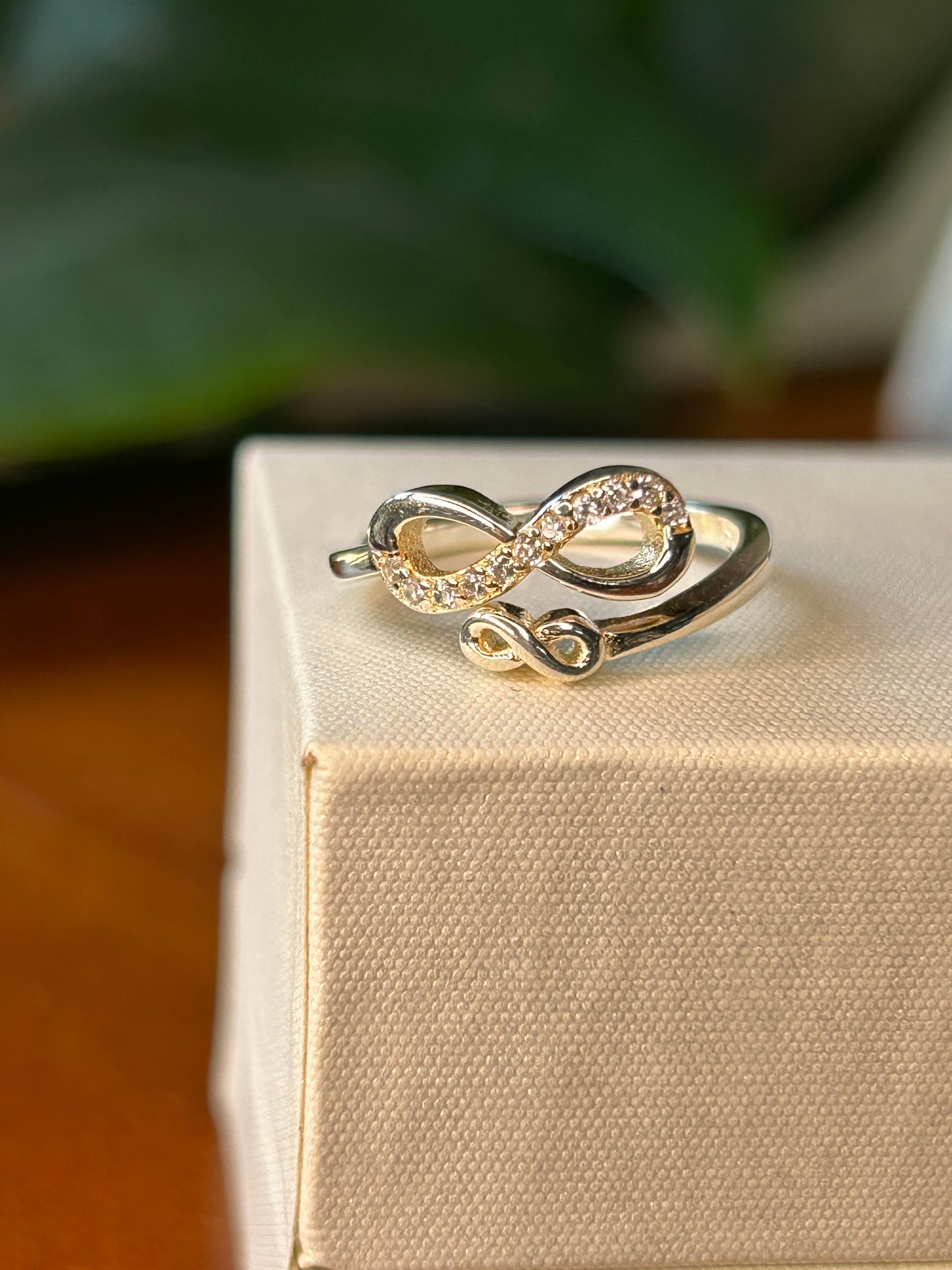 Anillo doble infinito