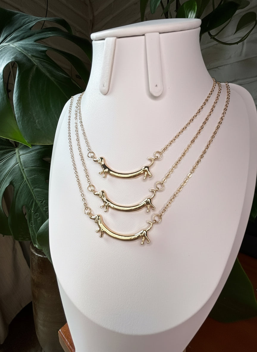 Collar perro salchicha