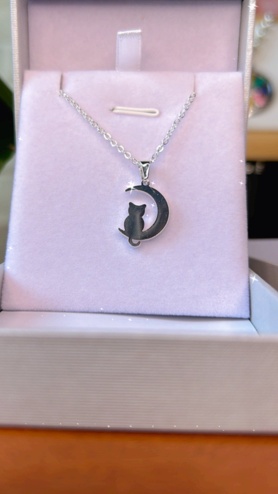 Conjunto gato y luna