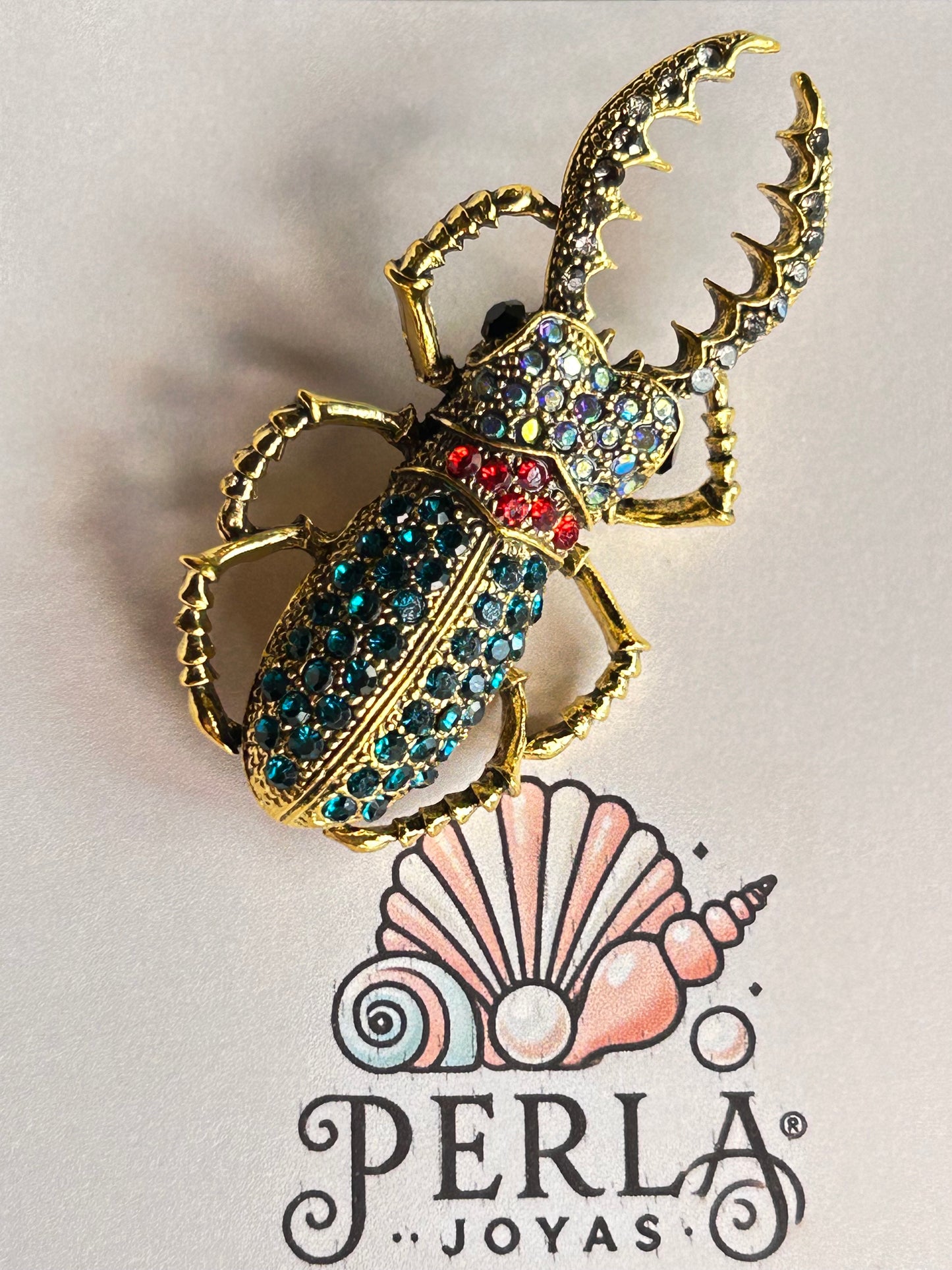 Prendedor escarabajo pinzas