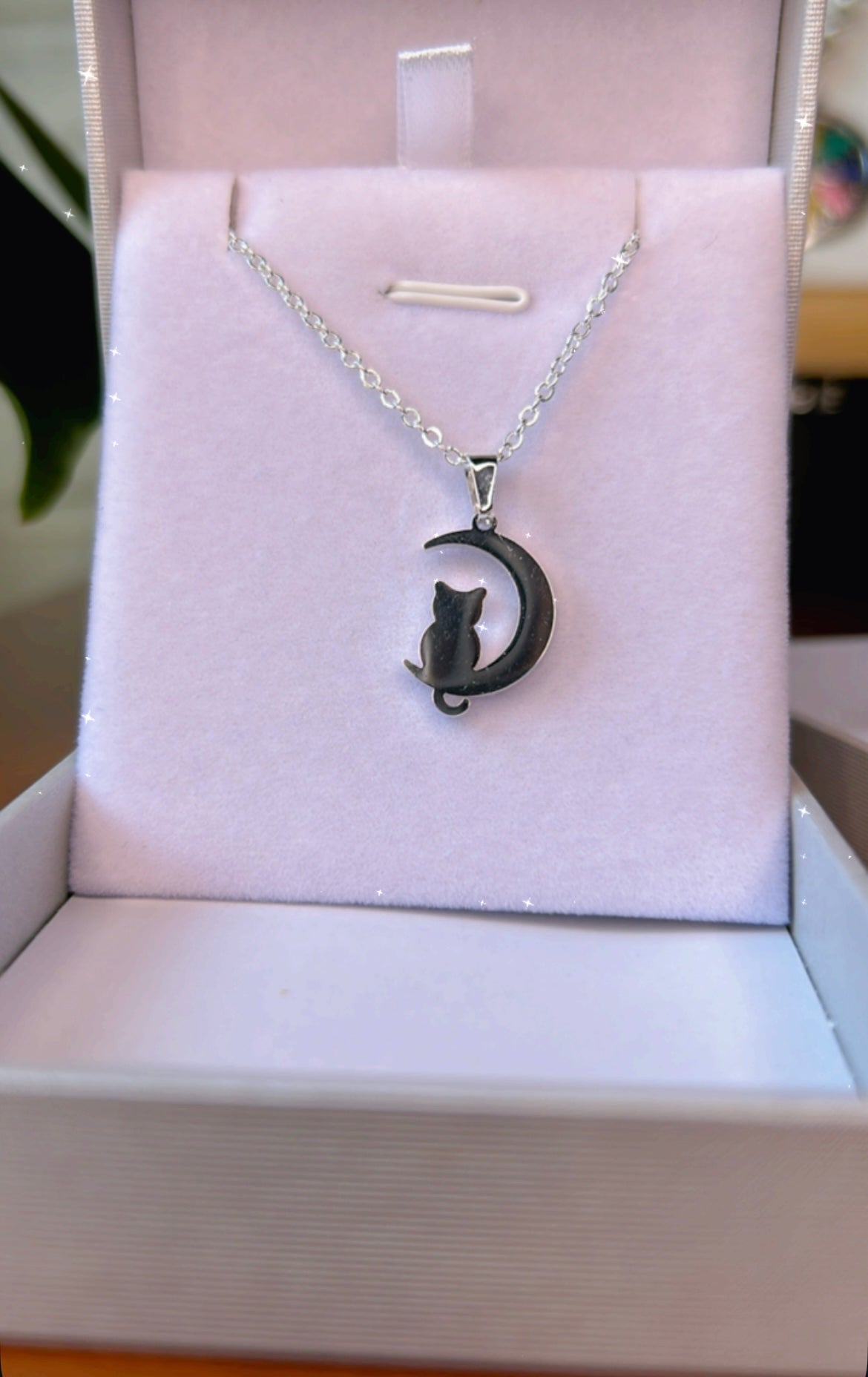 Conjunto gato y luna