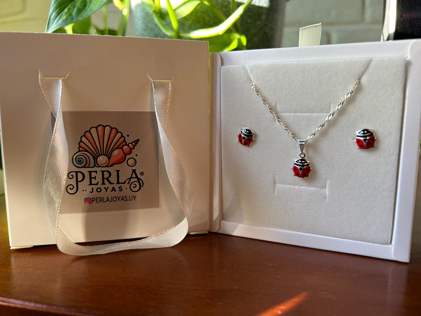 Conjunto san Antonio