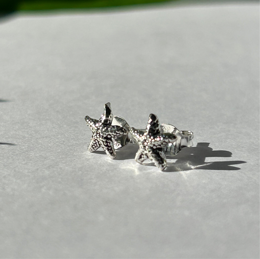 Caravanas estrellas de mar