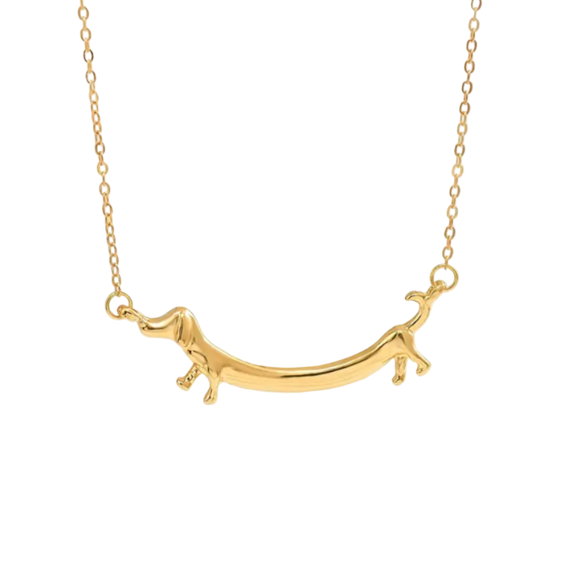 Collar perro salchicha