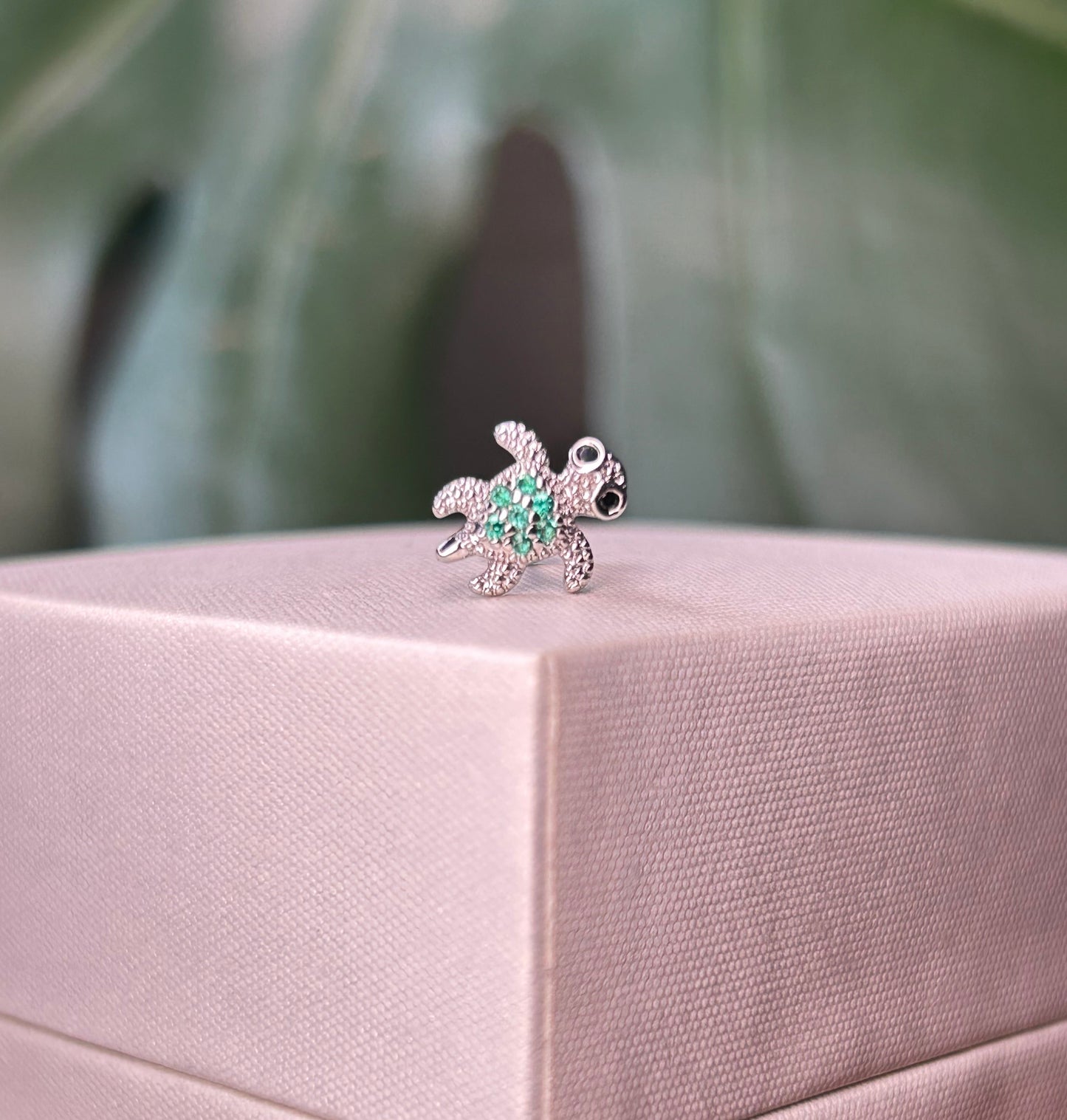 Solitario Tortuguita Mini