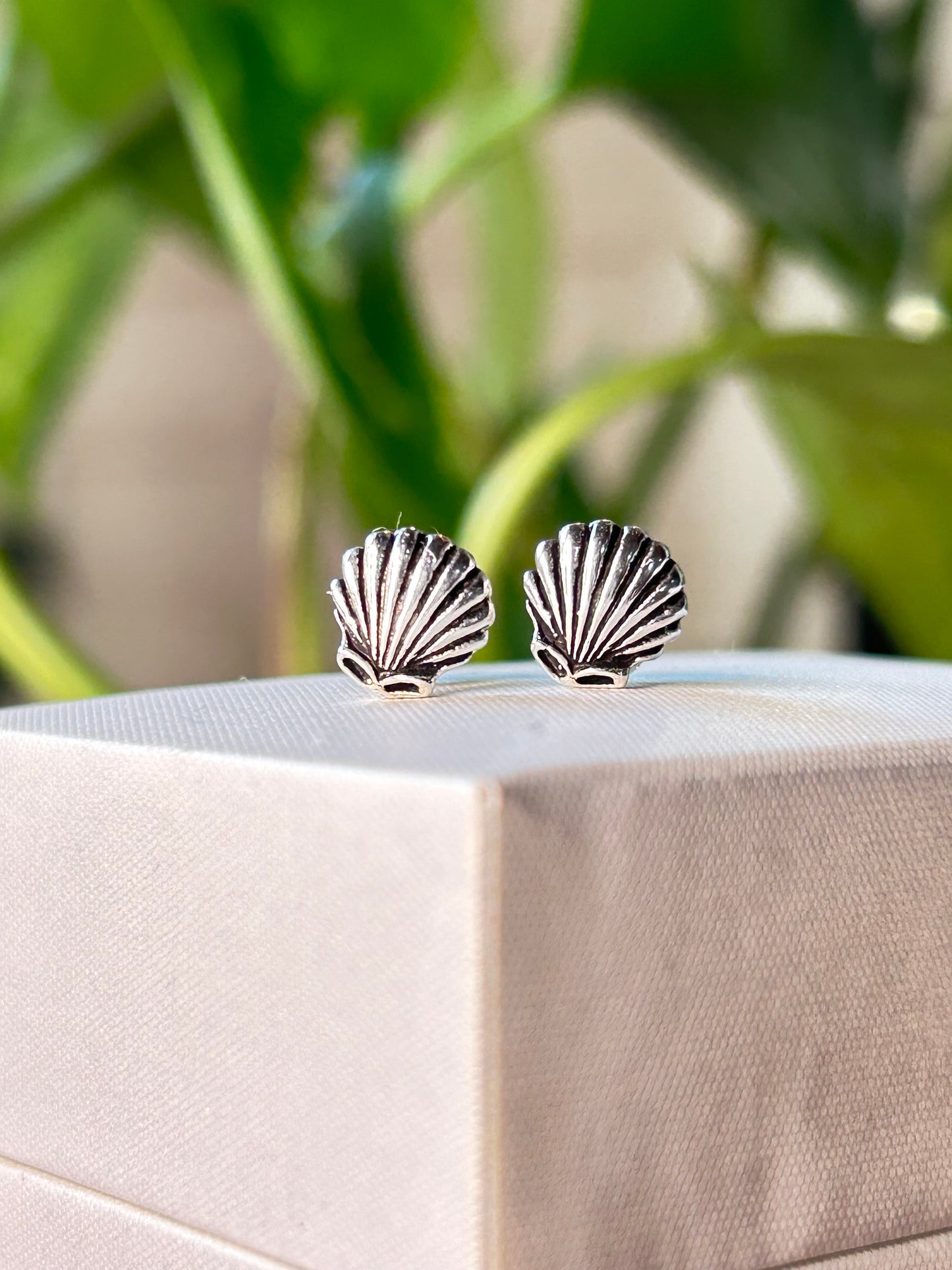 Caravanas concha de mar