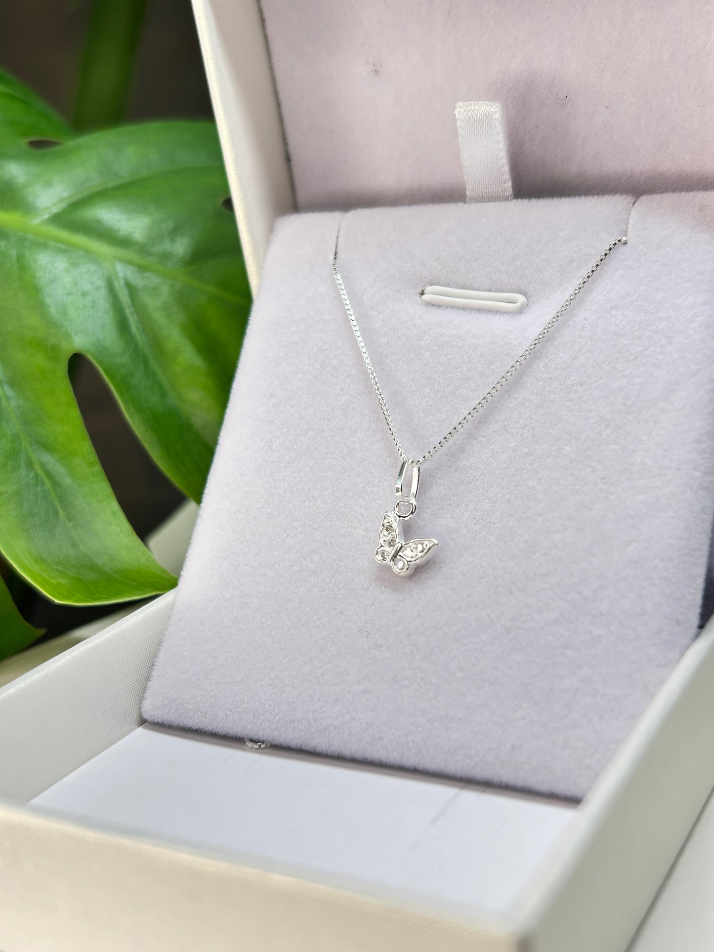 Conjunto Mariposa Plata