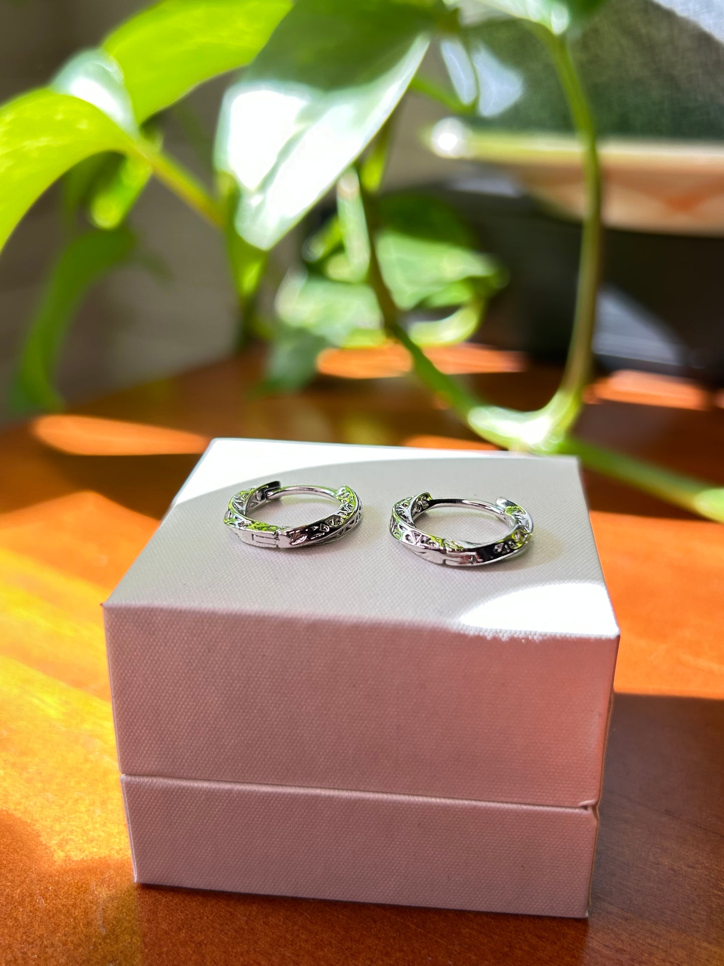 Caravanas Cierre Huggie