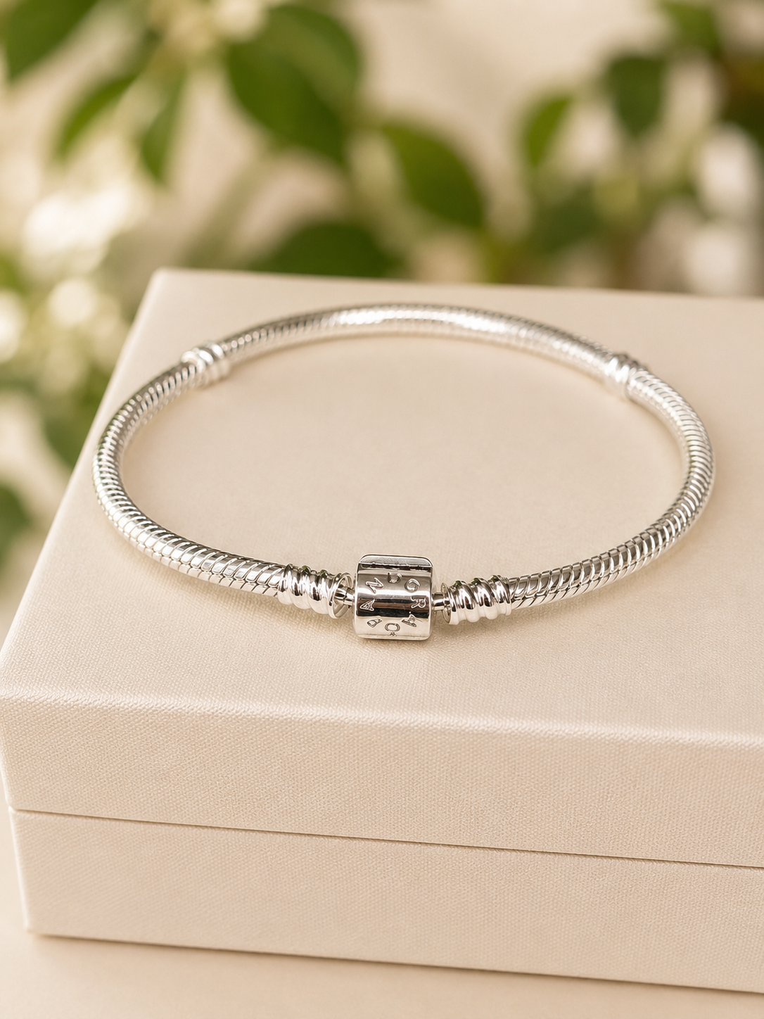 Pulsera Pandora Moments Clásica