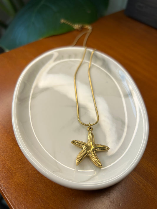 Conjunto estrella de mar
